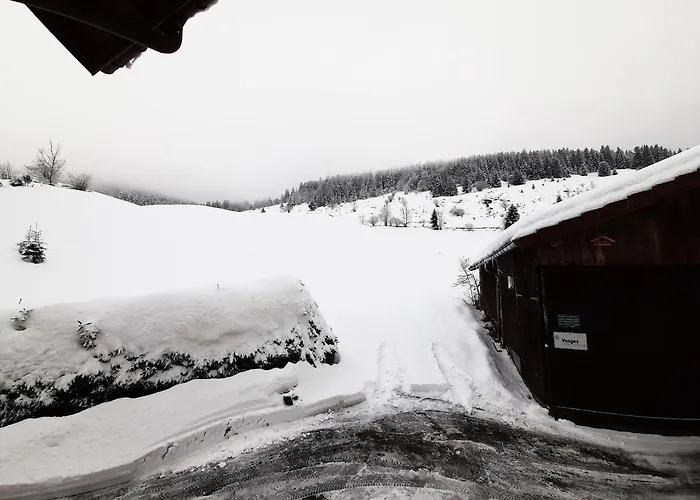 ⁂⁂ Gite Le Pres Au Cerf Cledicihome 2 Steps From The Lispach Resort // Private Toboggan Run! Snowshoe Departure ⁂⁂