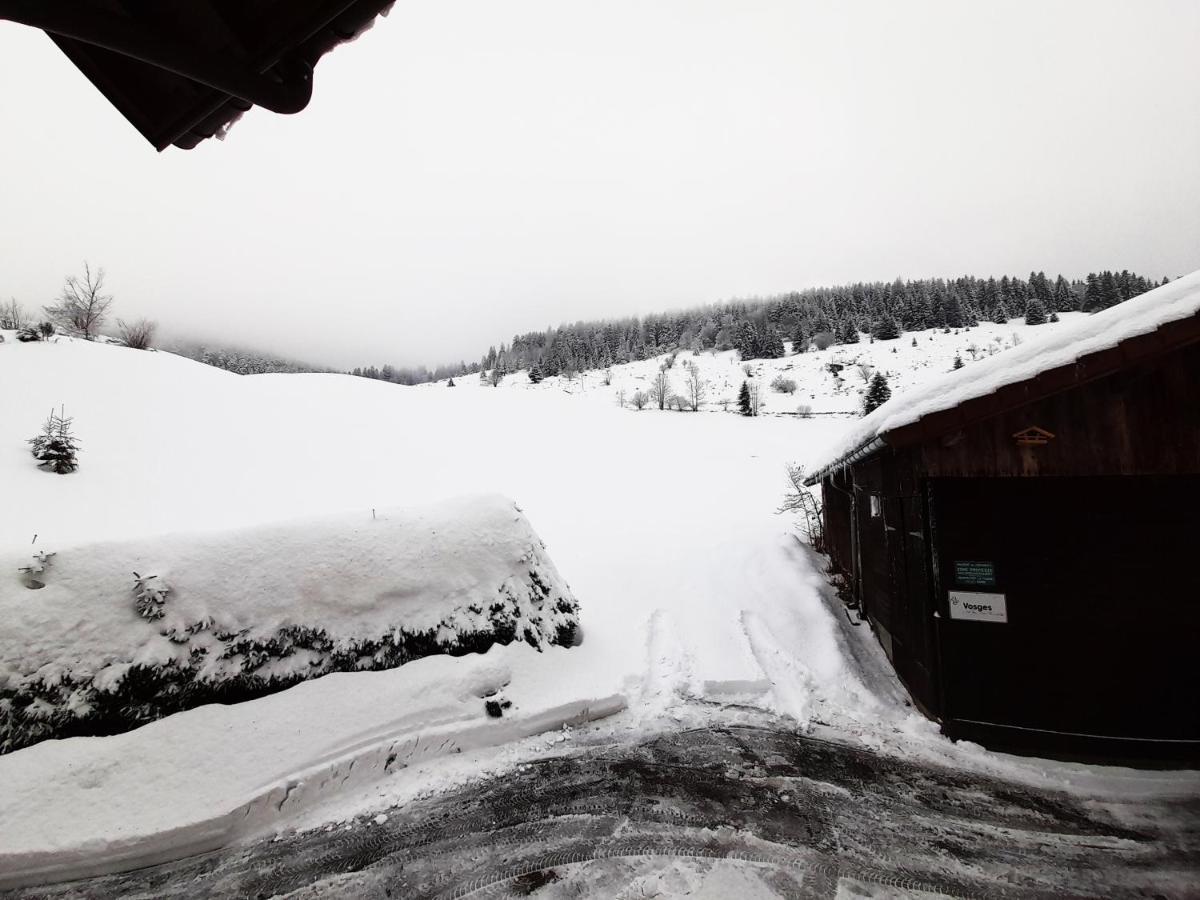 Holiday home Gite Le Pres Au Cerf: Lispach Retreat With Private Toboggan Run *