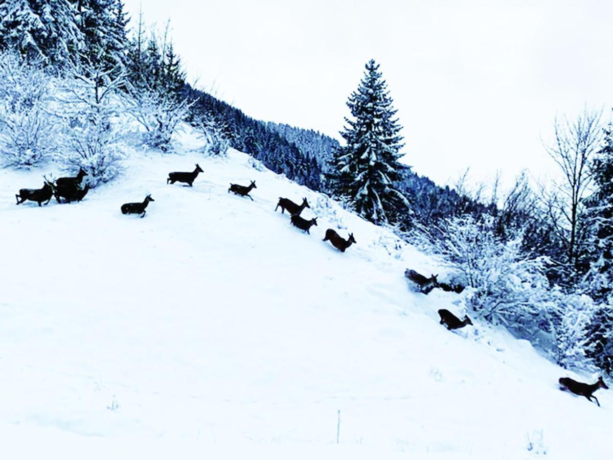 Gite Le Pres Au Cerf: Lispach Retreat With Private Toboggan Run Holiday home La Bresse