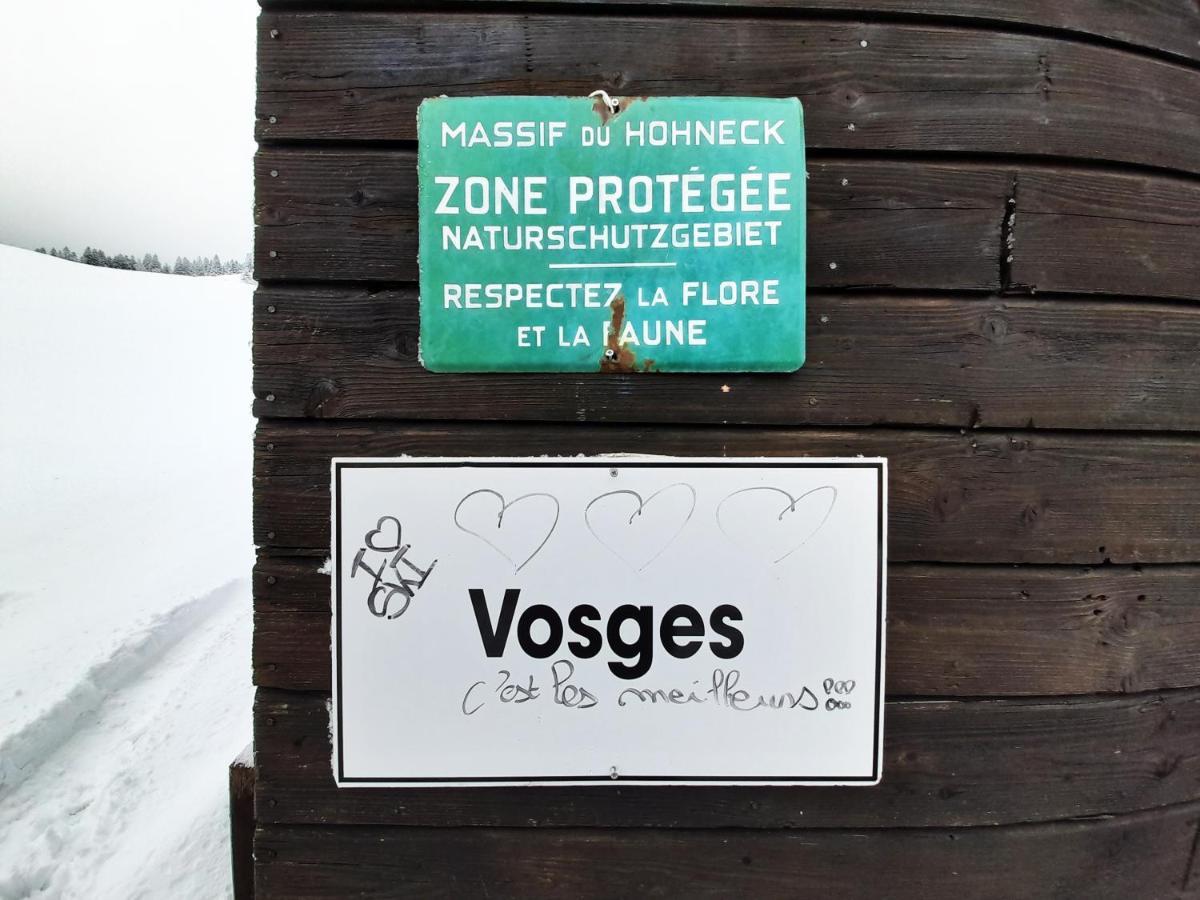 Gite Le Pres Au Cerf: Lispach Retreat With Private Toboggan Run Holiday home